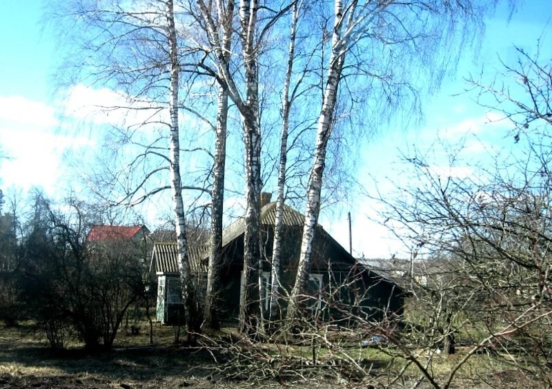 Вуліца Алеся Адамовіча ў Глушы